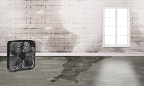 Best 24/7 water damage repair  in Greentree, NJ